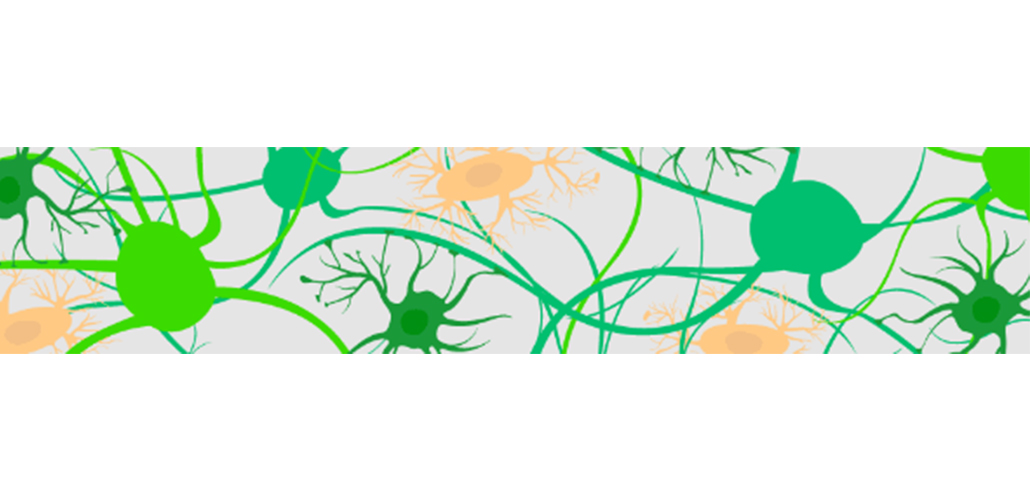 Directly conjugated primary antibodies for imaging and flow cytometry from Abcam!